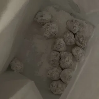 Zeppolis