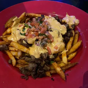 Asada Cheese Fries - very yummy!