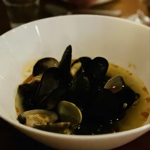 oysters and mussels, shellfish, oysters, mussels, food