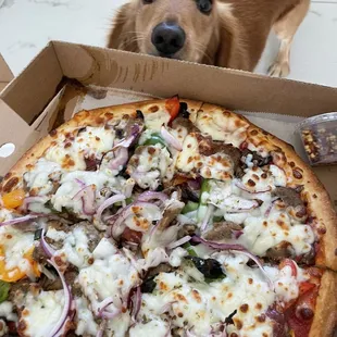 a dog looking up at a pizza