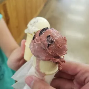 Cherry Kiddie Cone