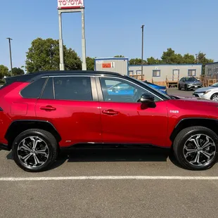 Meet Stephanie (or Ruby, the name is a work in progress)!