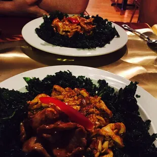 Bird 's Nest on Fire