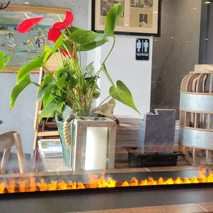 Those "flames" are really steam.