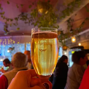 a person holding a glass of wine