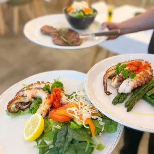 Grilled Octopus