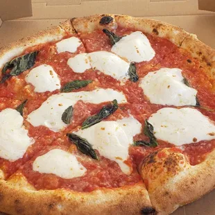 Margherita Pizza