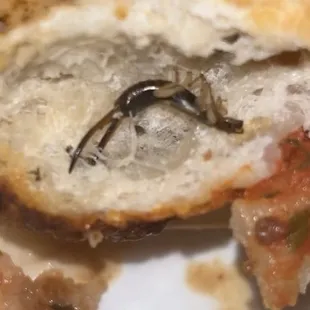 sandwich, sandwiches, food