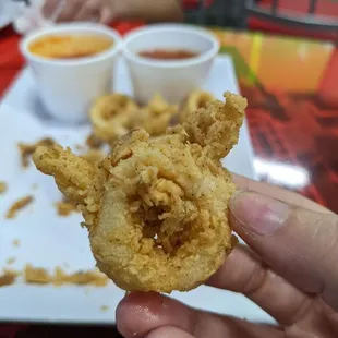 Cat shaped calamari