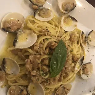 White clam sauce - very rich