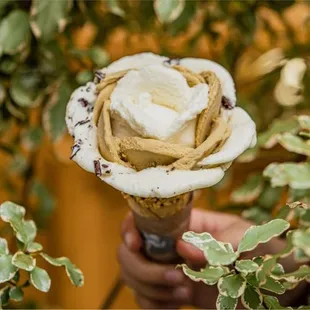 gelato in dallas, texas