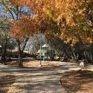 Playground in November