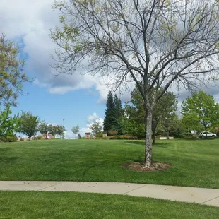 Open Space Play Area