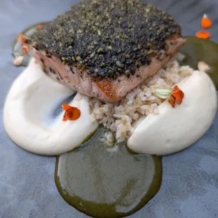 Salmon with pistachio crust