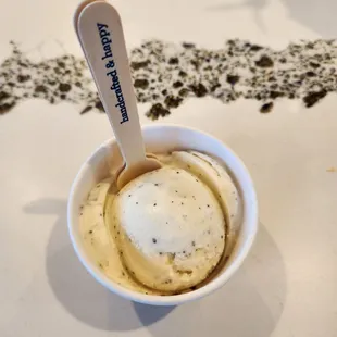 Salt &amp; Coffee Ice Cream