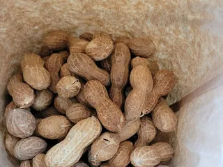 Santos Spice Products