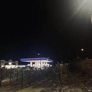 Local AMPM in the vineyard.