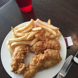 a plate of fried chicken and french fries