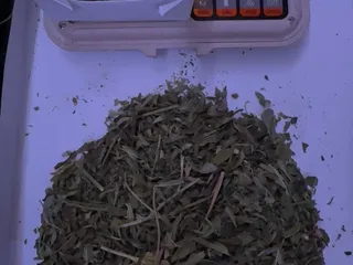 The Grass Station