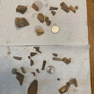 Sharp shards of goat bones found in two orders of goat curry.