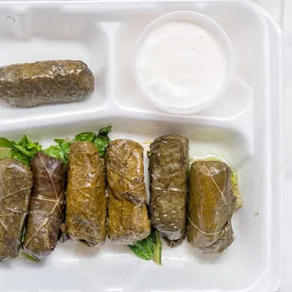 Dolma