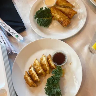 Gyoza and Harumaki Egg Roll