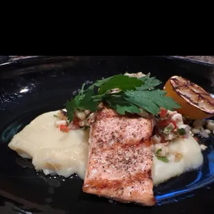 Salmon