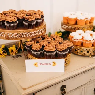 Chocolate Cupcakes with Chocolate Icing