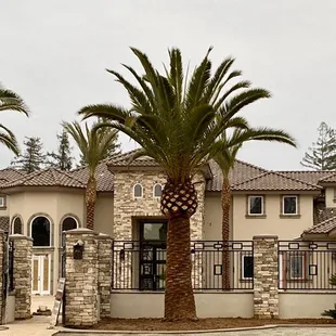 Last photos of 2019!