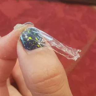 food, mussels, oysters and mussels, oysters, shellfish