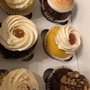 Half dozen cupcakes