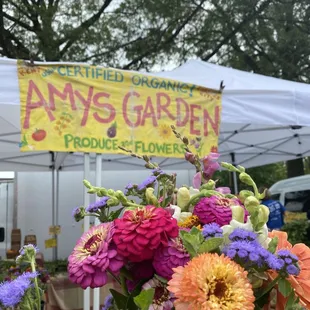 a display of flowers