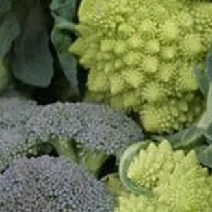 courtesy of amysorganicgarden.com