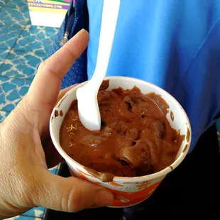 Jr mint hot fudge choc ice cream