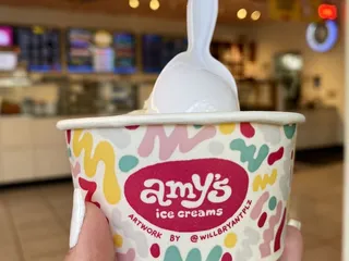 Amy's Ice Creams