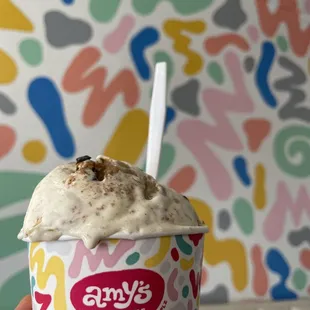 Amy's Ice Creams