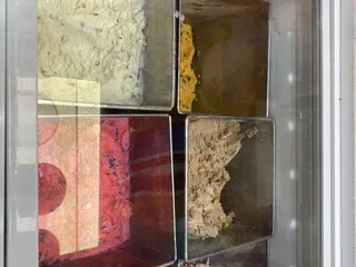Los Mangos