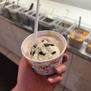 Mint Chip Cookie Dough and Dark Chocolate