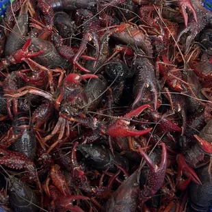 Amy's Seafood