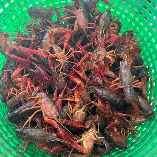 Live crawfish
