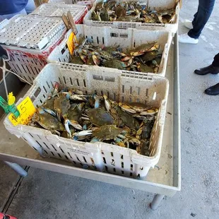 a cart full of crabs