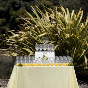 Photo credit: Brandon Wong Photography, Venue: Limoneira, Floral: Yamaguchi's, Signs: The Groom!