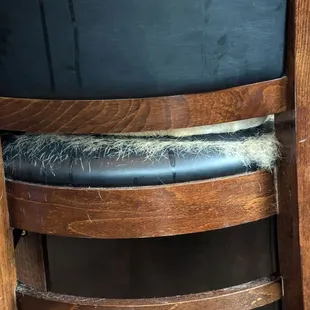 This is clearly Dottie's favorite chair, and yes, she was sitting in it.