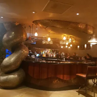 Do You see the anaconda rising above the bar?
