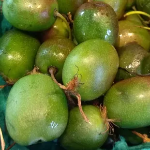 Arctic kiwis from Anacortes at the Coop!