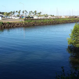 Leading out to the ocean. ..