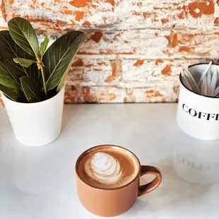 a cup of coffee and a plant