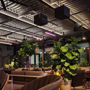 seating area with plants