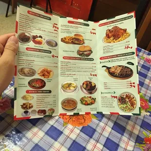 a hand holding a menu