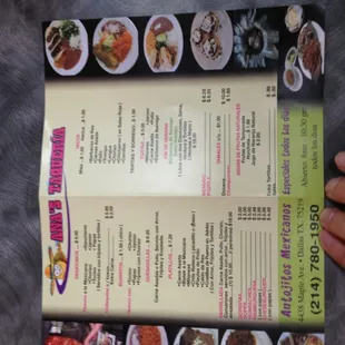 a hand holding a menu